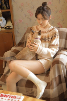 孟晚舟案结果